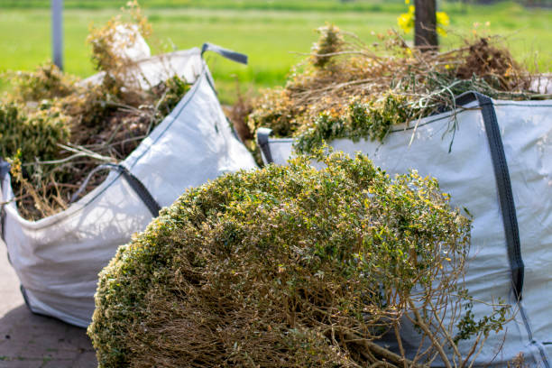 Best Residential Junk Removal  in Arche, OK